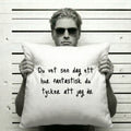 Ludwig: Du vet... Kudde #1