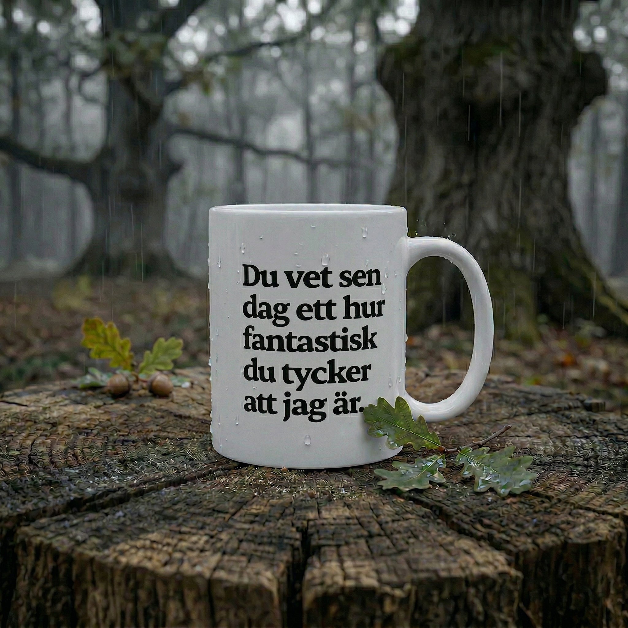 Ludwig: Du vet... Mugg #3